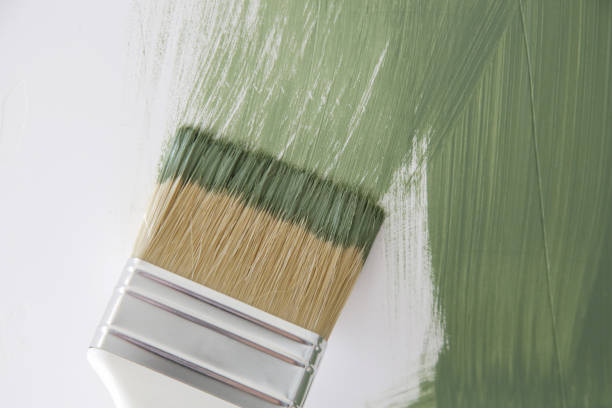 Best Basement Mold Removal  in Enoch, UT
