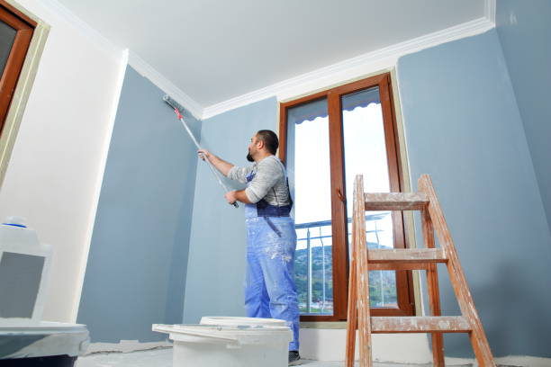 Trusted Enoch, UT Mold Removal Experts