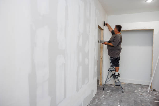 Best Environmental Consulting for Mold Prevention  in Enoch, UT